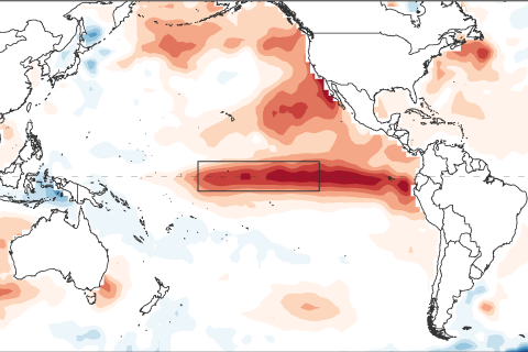 November El Niño update: It's a small world