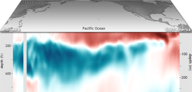 cross-sectional view of sub-surface temperatures at the equator in the Pacific compared to the long-term average