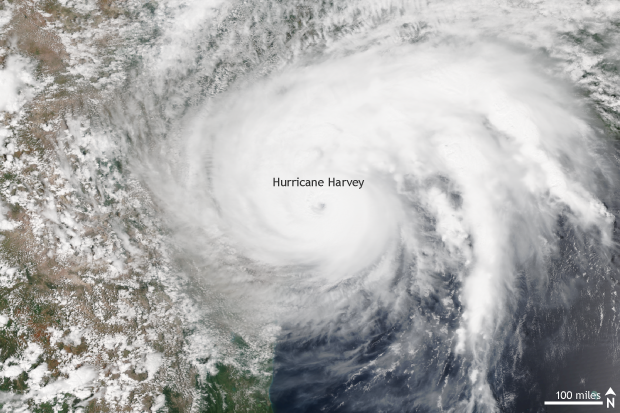 Hurricane Harvey Size Chart