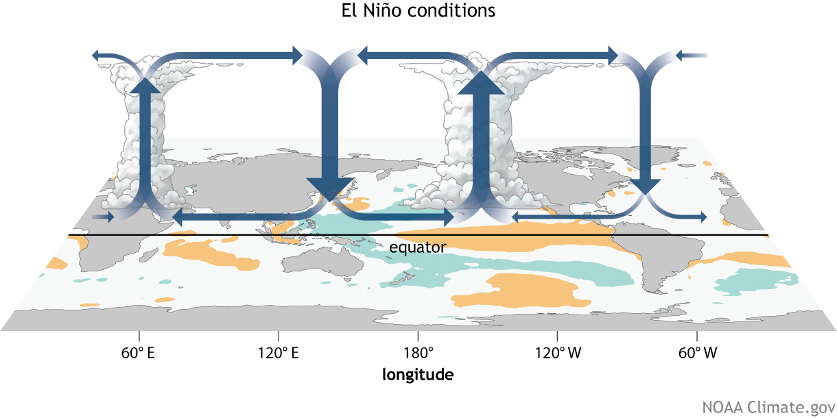 IFRC PIC: What Changes in Rainfall are Typical during El Niño and La Niña?