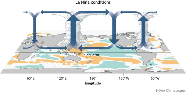 walker circulation, ENSO, La Niña, convection, circulation, walker cell, tropical circulation, Pacific Walker Circulation, Pacific Walker Cell