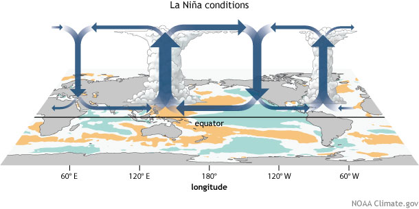 yürüteç sirkülasyonu, ENSO, La Niña, konveksiyon, sirkülasyon, yürüteç hücresi, tropikal sirkülasyon, Pacific Walker Circulation, Pacific Walker Cell