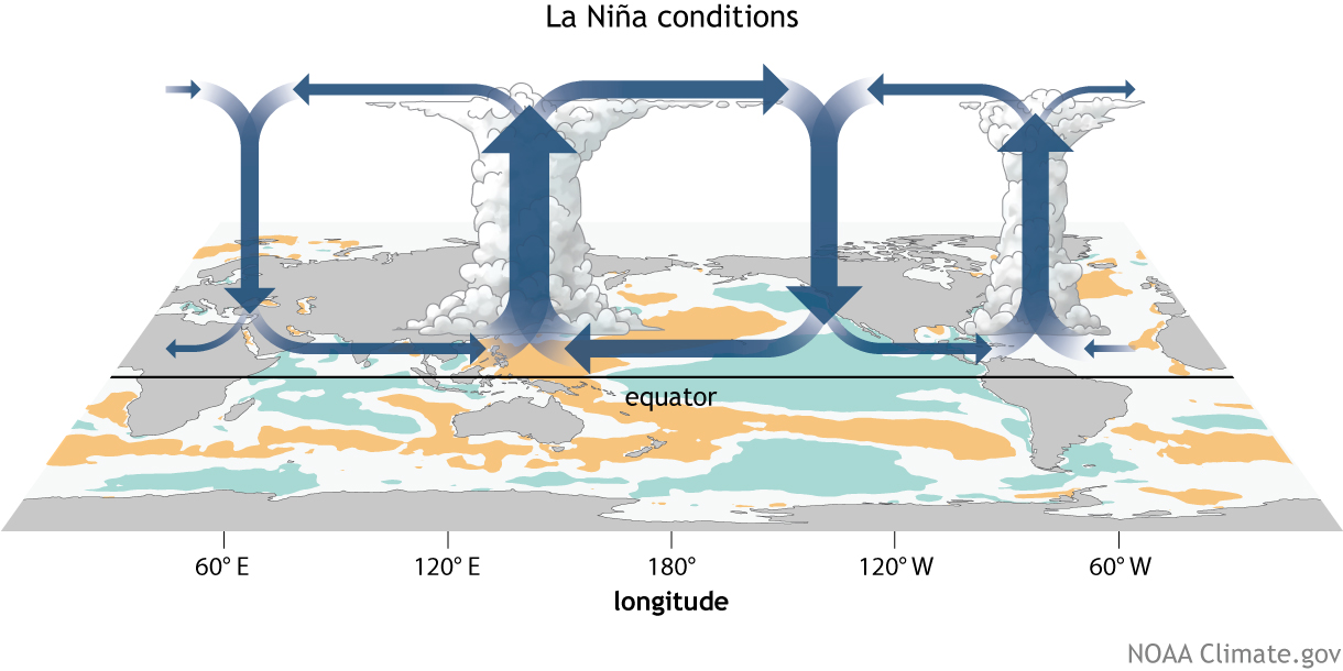 La Nina Walker Circulation