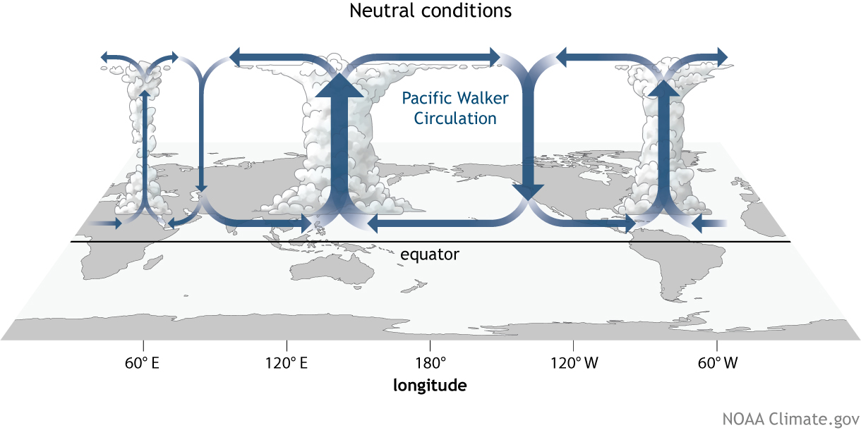 The Walker Circulation: ENSO's atmospheric buddy | La Niña Ready Nations