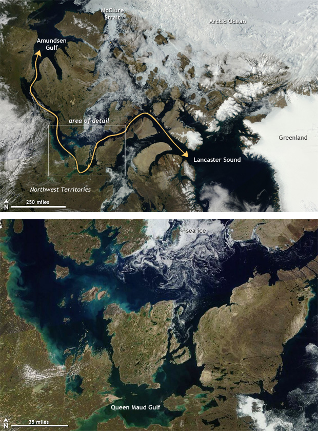 august9_arctic_worldview_620.jpg