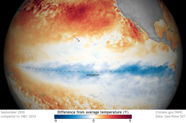 spherical map of the Pacific centered on the equator showing surface temperatures compared to average in September 2020