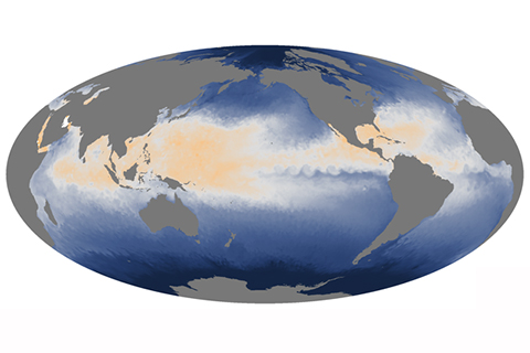 Data Snapshots: Sea Surface Temperature on August 19, 2014