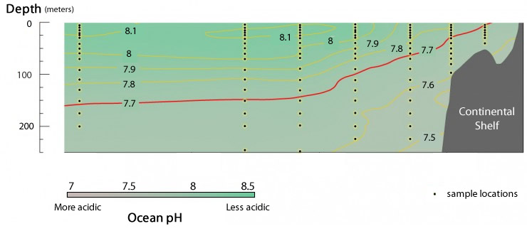 Figure depicting pH samples at different depths along the border of Oregon and California.