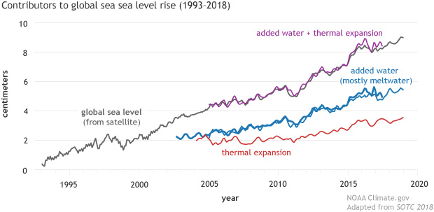 City Sea Level Chart