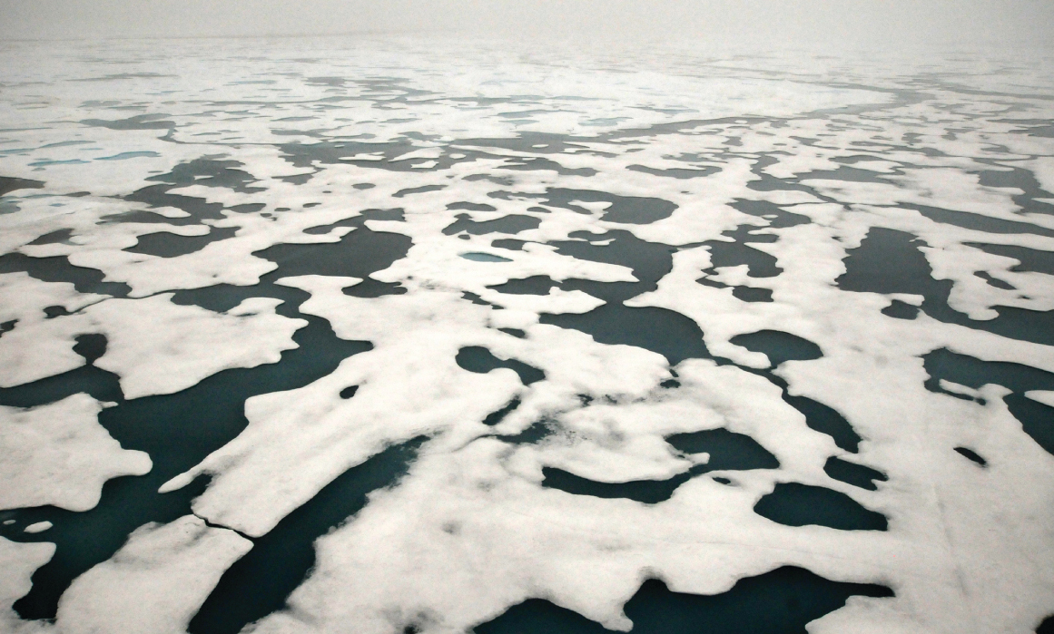 Melt pond "skylights" enable massive underice bloom in Arctic NOAA