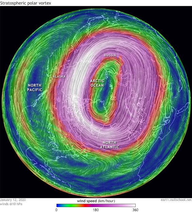10-hPa winds 
