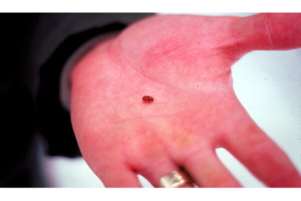 Global Climate Change Impacts in the United States