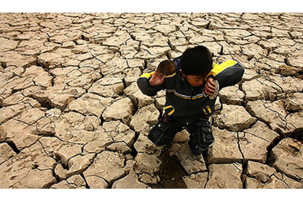 Cracked desert floor