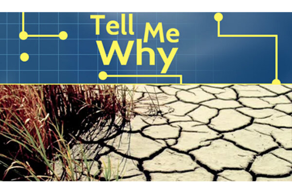 Tell Me Why: The Climate Extremes Index Matters