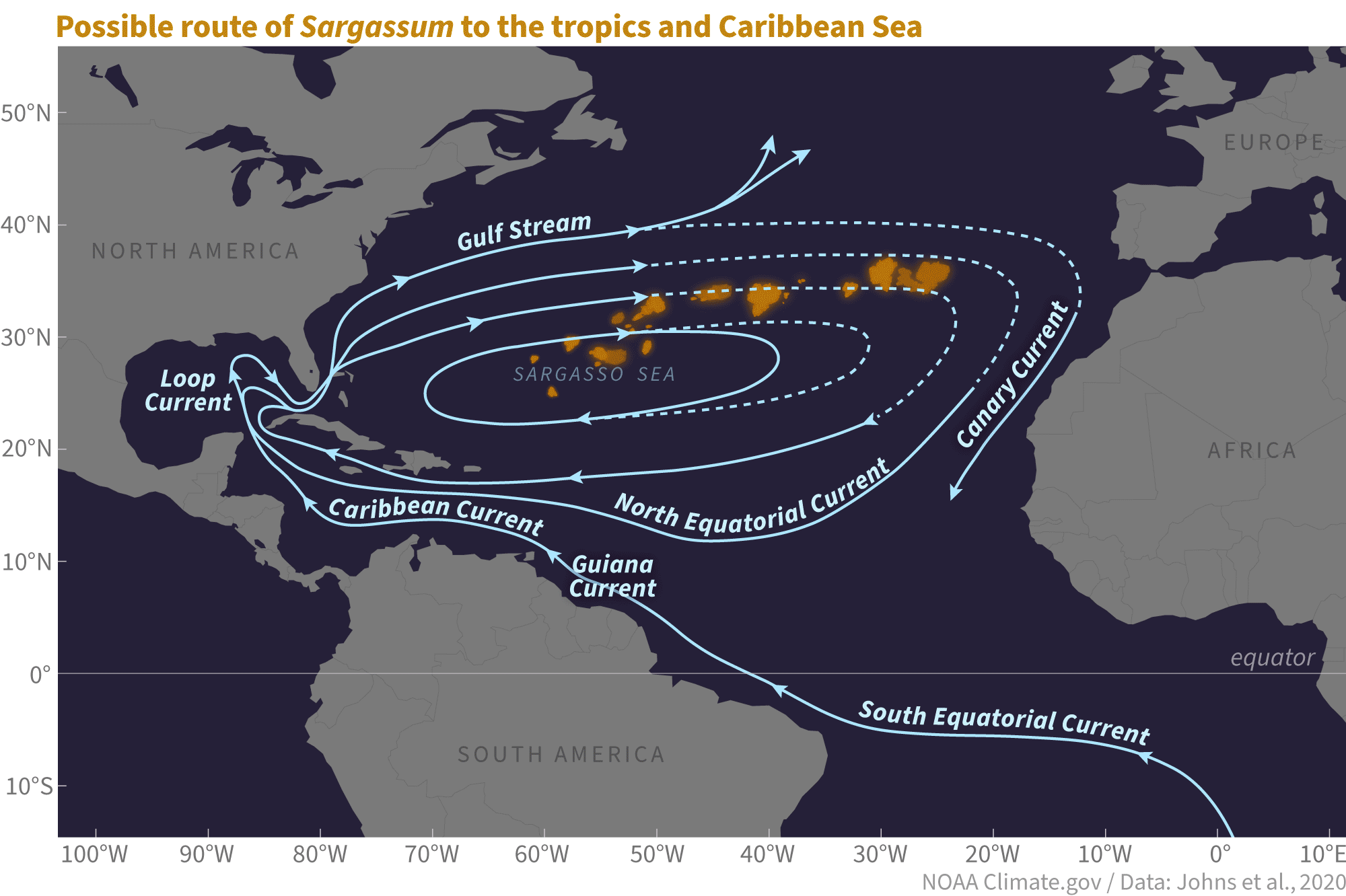 Esquema animado de la ruta de dispersión del Sargassum por el Atlántico Norte