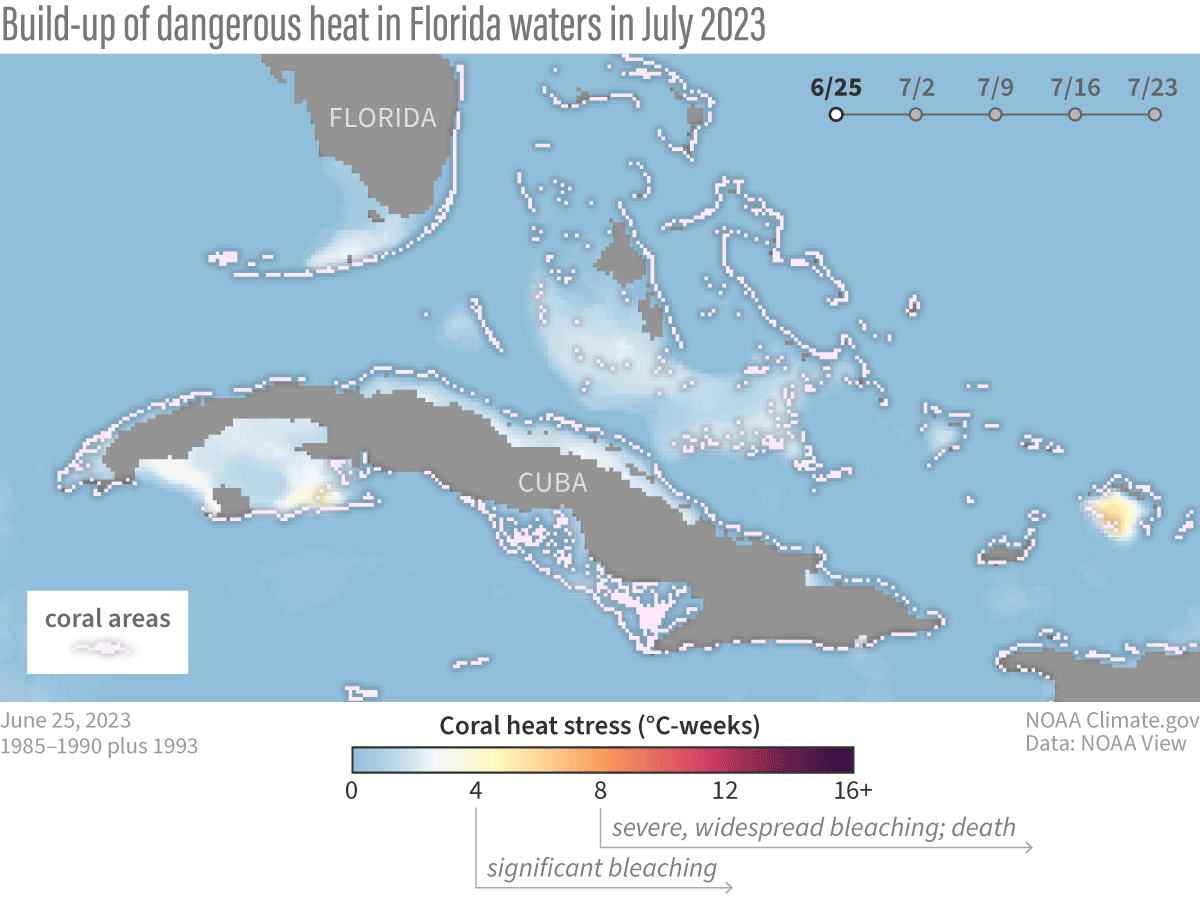 Animation of maps of build-up of coral heat stress in waters around Florida