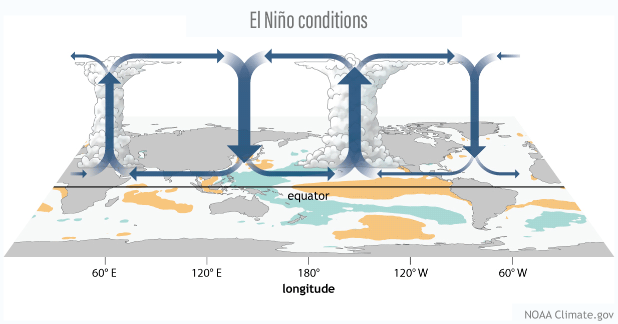 animation of tropical Pacific Walker circulation