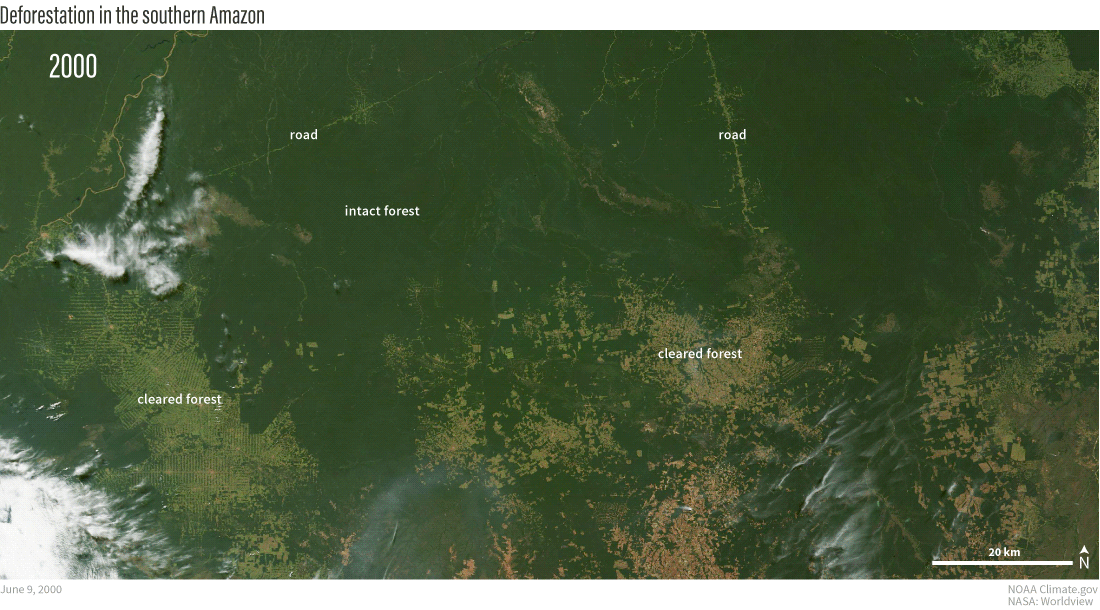 Animation of photo-like satellite images of southern Amazon rainforest in 2000 versus 2023