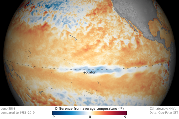 Sea surface temperature in June 2016