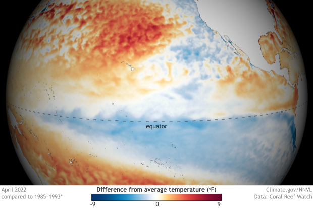 Globe-style map of tropical Pacific sea surface temperature anomalies showing cool water at equator in April 2022