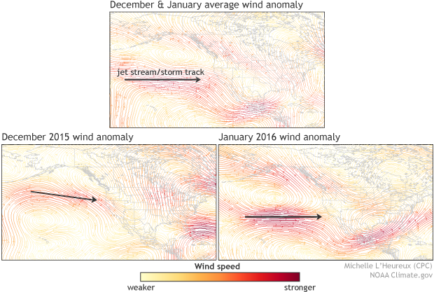 Image of wind anomalies based on averaging December 2015 and January 2016.