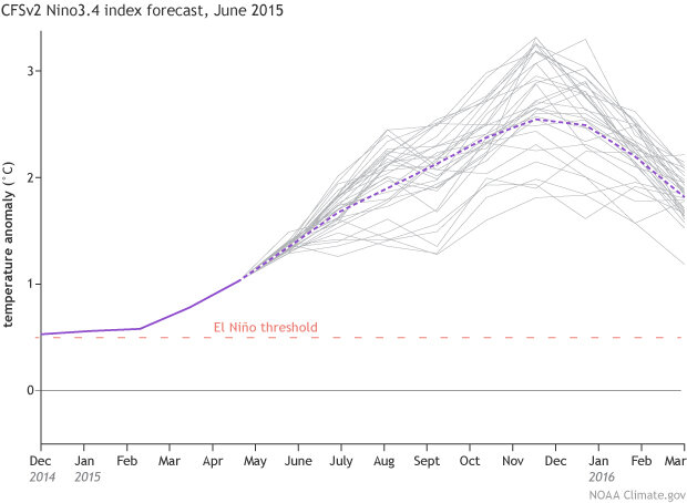 CFSv2 forecast for sea surface temperature anomalies in June 2015