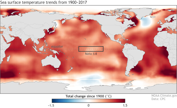 Sea surface temperature trends from 1900-2017