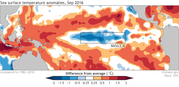 Ocean temperature anomalies in September 2016 centered on the Pacific Ocean. Colder waters in blue are present along the equator but everywhere else red blobs of warmer than average water reside.