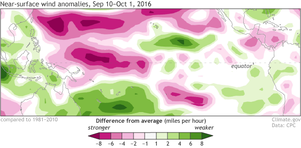 Average near surface winds in September 2016 compared to the 1982-2010 average. Pink areas along the equator in the Pacific ocean show increased trade winds.