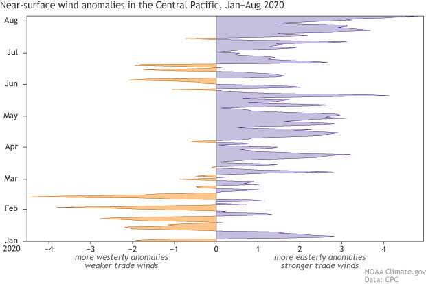 Daily near surface wind anomalies in the central Pacific