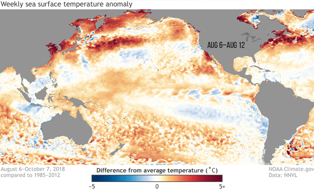 Sea surface temperature anomaly animation