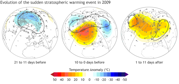 Polar vortex collapse evolution