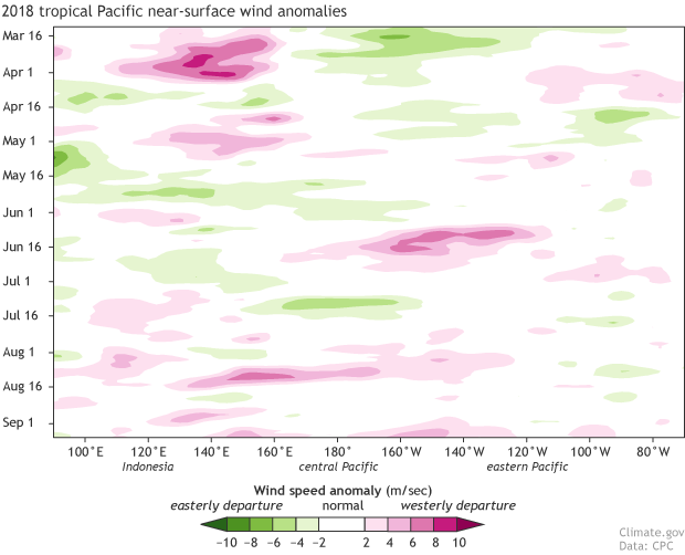 Hovmoller diagram showing wind anomalies in the Pacific Ocean from March to September 2018
