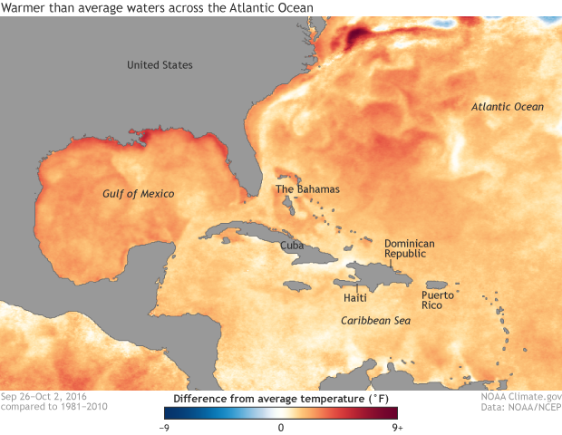 Sea surface temperature anomaly map