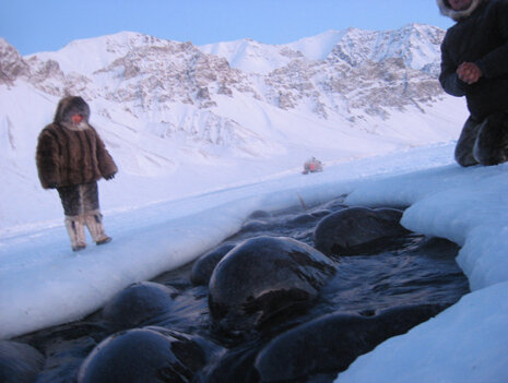 Large entrapment discovery