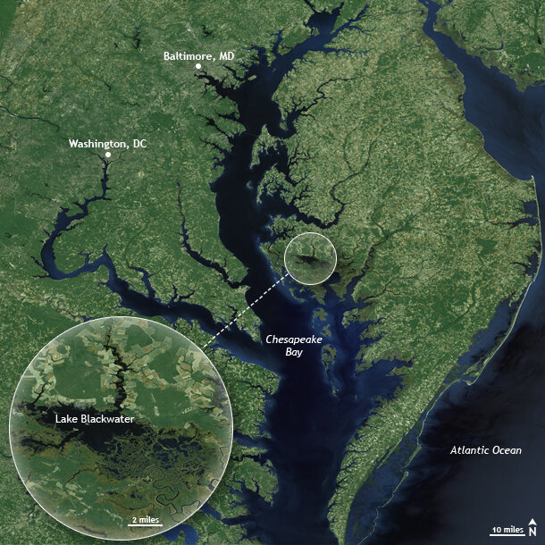 Chesapeake Bay