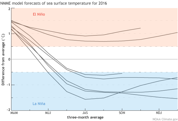 NMME model forecasts of sea surface temperature for 2016