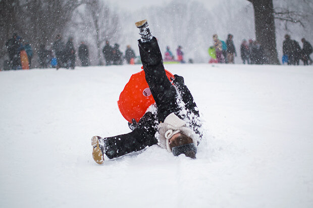 Sledding in Brooklyn during the January 2016 snowstorm