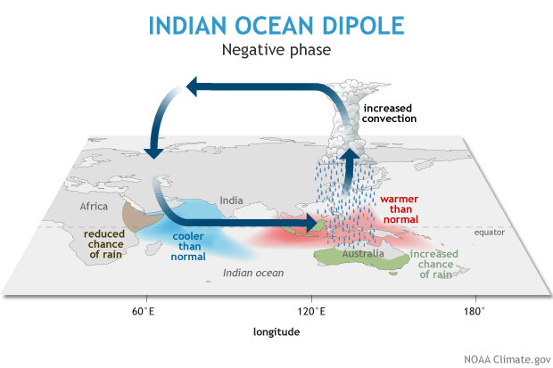 Negative phase of the Indian Ocean Dipole