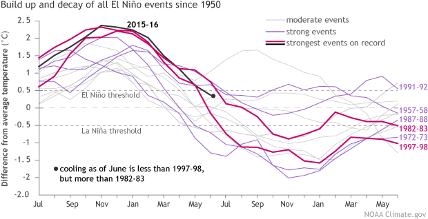 Build up and decay of all El Nino events since 1950