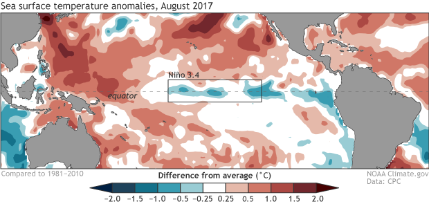 Global map of ocean temperature anomalies in August 2017