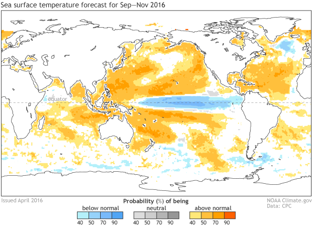 Map of sea surface temperature forecast for the September-November period. Blues over the equator indicate a forecast la Nina while the rest of the Pacific, Indian and Atlantic ocean are orange indicating warmer than average temperatures.