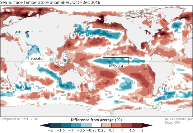 Sea surface temperature anomalies, Oct-Dec 2016