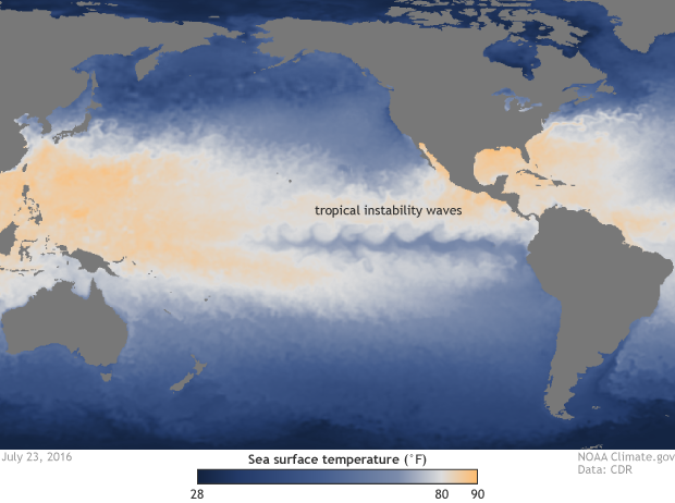 Tropical instability waves and sea surface temperature