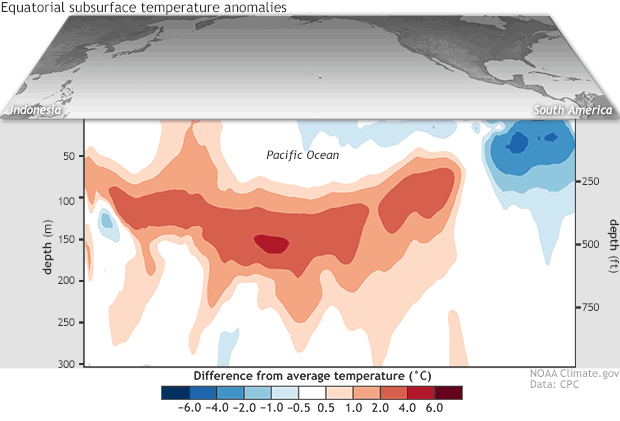 Subsurface temperature anomalies in the tropical Pacific In March 2018 looking like a shark