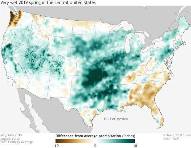 Precipitation anomaly map
