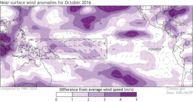 Near-surface wind anomaly map