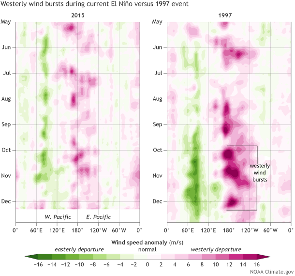 Westerly wind bursts during current El Nino versus 1997 event