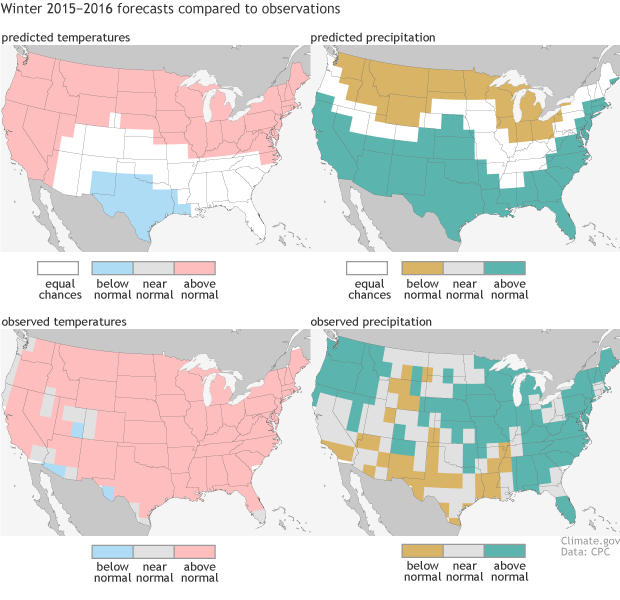 4 U.S. maps comparing the observed and forecasted winter temperature and precipitation for the winter of 2015-16