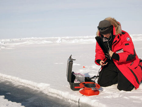Researcher with narwhal